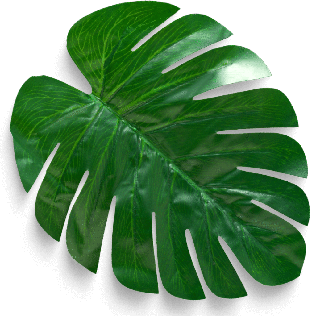 تصميم بدون عنوان 2025 07 23t104453.946